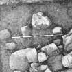 Excavation photograph