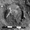 Excavation photograph