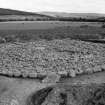 Excavation photograph : cairn stripped to structure level, from west.