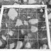 Excavation photograph : photogram - detailed view with planning frame in position.