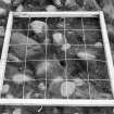 Excavation photograph : photogram - detailed view with planning frame in position.