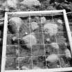 Excavation photograph : photogram - detailed view with planning frame in position.