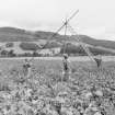 Excavation photograph : putting up the hi spy tower.