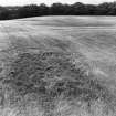 Ground view of linear cropmarks.