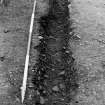 Excavation photograph.  Feature 1.  Palisade trench, looking from entrance.