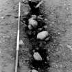 Excavation photograph.  Feature 1.  Palisade trench, looking towards entrance.