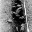 Excavation photograph.  Feature 1.  Palisade trench looking towards entrance.