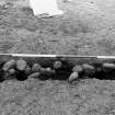 Excavation photograph.  Feature 1.  Palisade trench looking towards entrance.