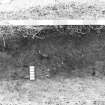 Excavation photograph : area 2 - E-W section, through Hut H, 5th 1m segment, from N.