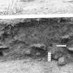 Excavation photograph : area 2 - E-W section, Hut G, H, central portion, 10th 1m segment, from S.