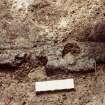 Excavation photograph: area 2 - TF 156, carbonised wood, after cleaning, from N.
