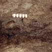 Excavation photograph: area 2 - TF 156, carbonised wood, after cleaning, detail, from S.
