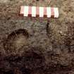 Excavation photograph: area 2 - TF 156, carbonised wood, after cleaning, detail, from S.