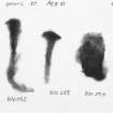 Print of part of one of the large x-rays, showing small finds.