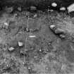 Excavation photograph : area 2c3 - f2426, from north.