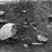 Excavated trenches 1959 SDD