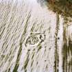 Aerial view of Daviot Cottage Ring Cairn, Daviot, Inverness-shire, looking S.
