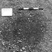 Excavation photograph : trench II - posthole BAU, 3cm off, facing south.