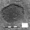 Excavation photograph : trench II - posthole BAZ, 7cm off, facing south.