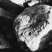 Excavation photograph : cup and ring stone (find 30) in wall of hut I.

(glass neg stored in box in negative room)