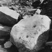 Excavation photograph : cup and ring stone.