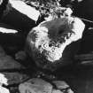 Excavation photograph : cup and ring stone.