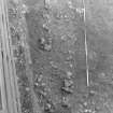 Excavation photograph : trench 5, showing robber trench f161, from W.
