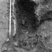 Excavation photograph : charcoal rich fill in trough f590, from W.
