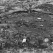 Excavation photograph. General pre-excavation from the E.