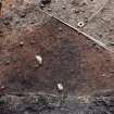 Excavation photograph. F1019 - dark brown layer - from north.