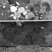 Excavation photograph : F1006 - cluster of stones sectioned.