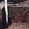 Excavation photograph. F1138 - section stakehole.