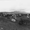 Excavation photograph. People at work.