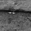 Excavation photograph.  F111 as found. Not previously excavated, from north.