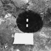 Excavation photograph : F1263 - small inner circle of postholes.