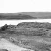 Excavation photograph : view of island.