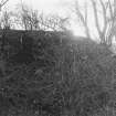 Excavation archive: S side of ravine to N of tower showing part of retaining wall exposed. From N.