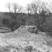 Blacklaw Tower. View of mound.