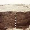 Excavation photograph : colour print of running section.