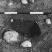 Excavation photograph : area 3 - f3066, part half section of intrusive feature showing dark band not in section, from S.