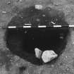 Excavation photograph : area 4A - f4038, half section to intercutting post pipes, from N.