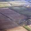 Aerial view of North Glastullich Farm, Tain, Easter Ross, looking NE.