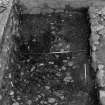Excavation photograph : area N - detail of dog bones within 948 before half section.