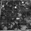 Excavation photograph : area N - detail of metre 302/303.6 of dog bones.