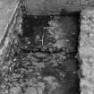 Excavation photograph : area N - mottled red clay lapping over dog pit 948.