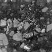 Excavation photograph : area N - f948/956 further excavated with another dog skeleton 278.