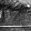 Excavation photograph : area M - detail of east end of coffin for skeleton 1103.