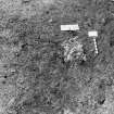 Excavation photograph: area X/H - soil hearth - patch of burning.