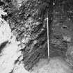 Excavation photograph : area T - close up of midden deposits at the bottom of the trial trench.