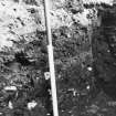 Excavation photograph : area BB - trial trench - W facing section, close up of layers.